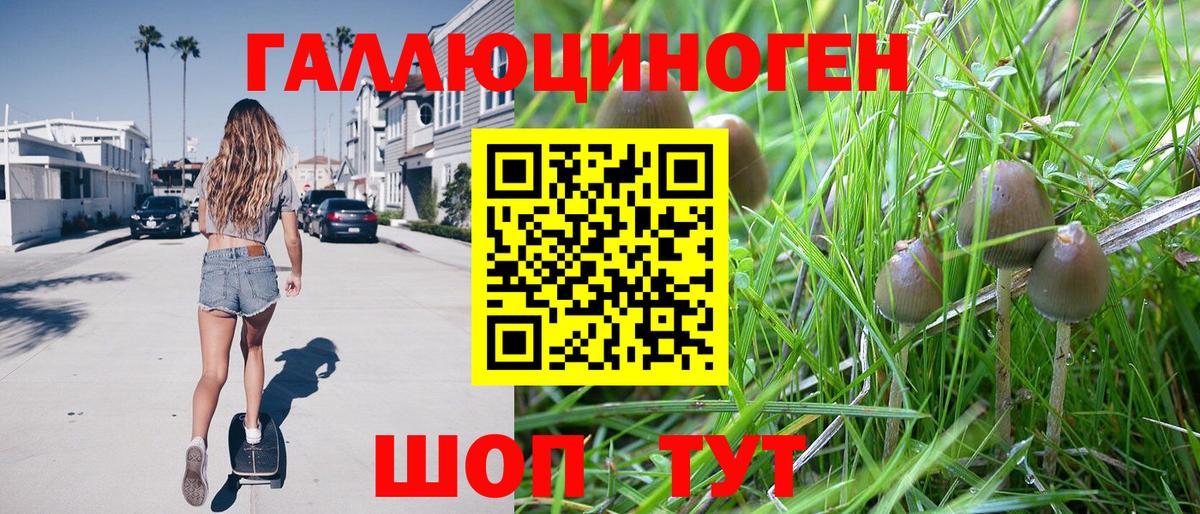 Галлюциногенные грибы мухоморы Вятские Поляны